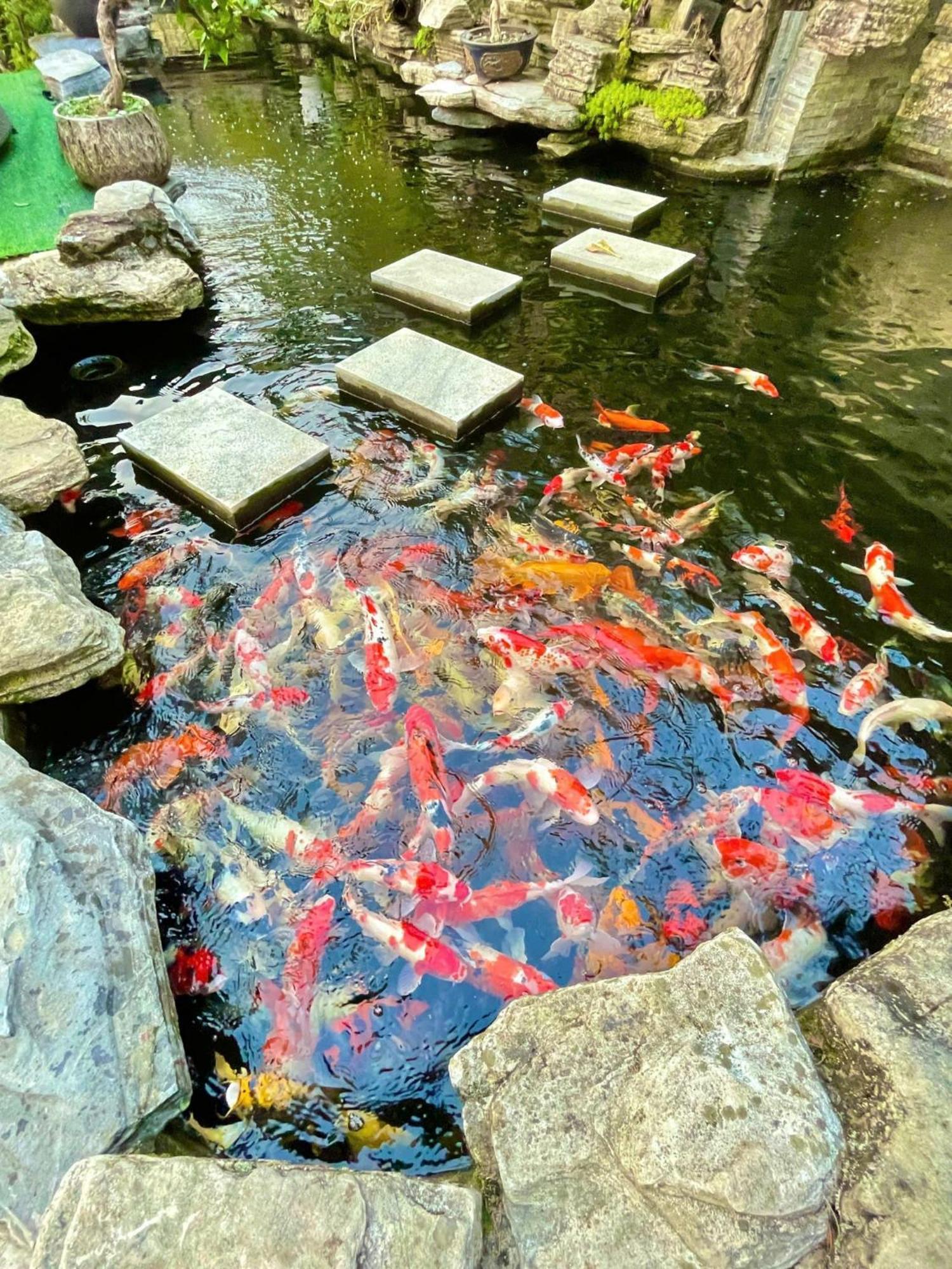 Chuon Chuon Villa Homestay Tam Ðảo 외부 사진