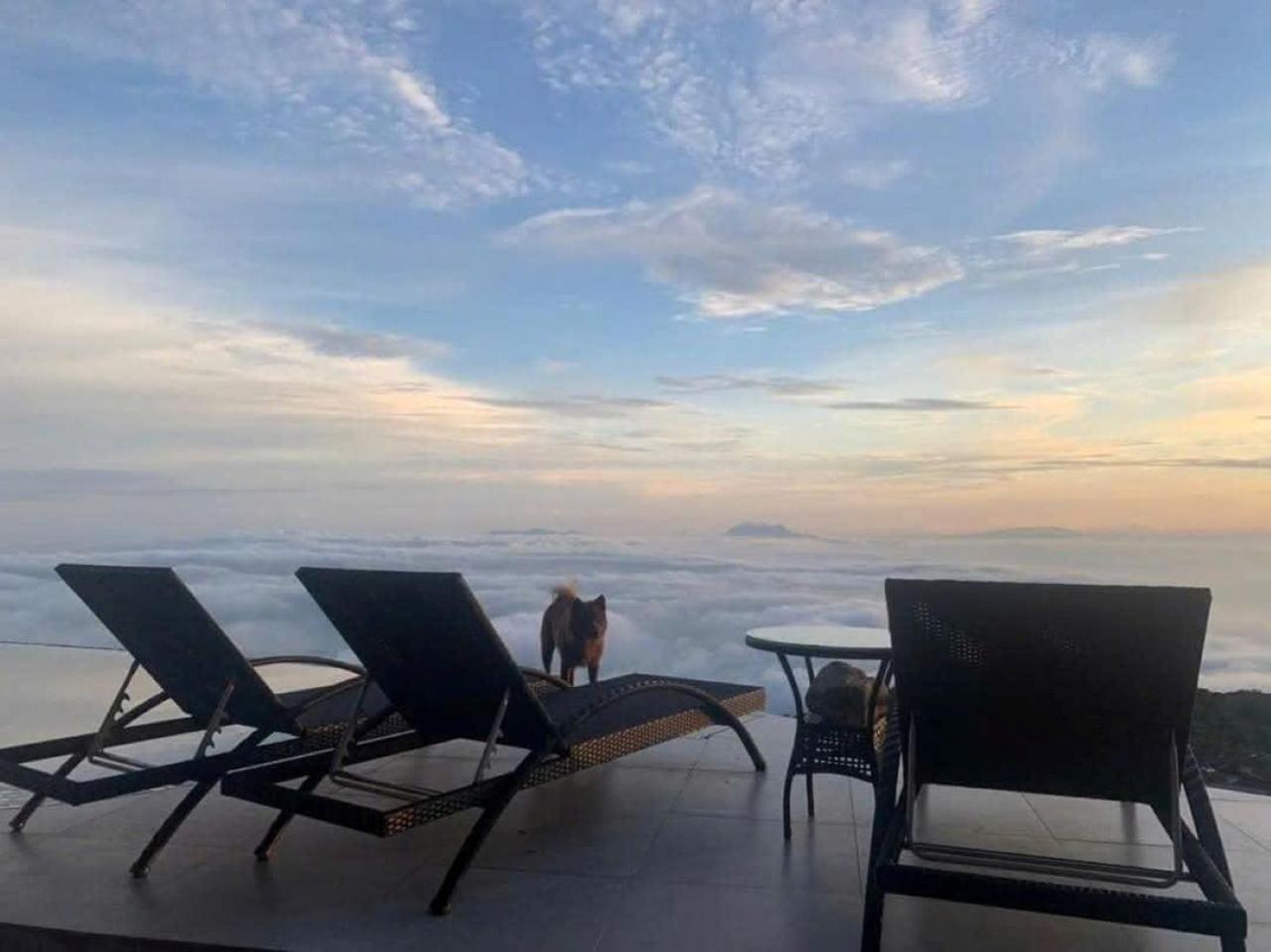 Chuon Chuon Villa Homestay Tam Ðảo 외부 사진